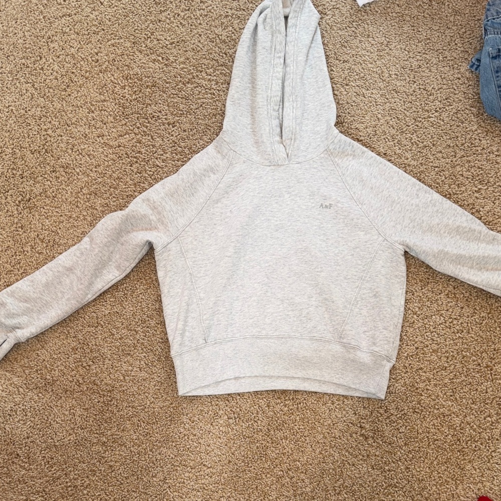 Kids Gray Hoodie Sweater